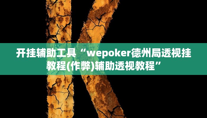 开挂辅助工具“wepoker德州局透视挂教程(作弊)辅助透视教程”