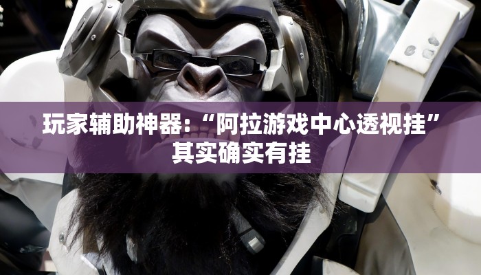 玩家辅助神器:“阿拉游戏中心透视挂”其实确实有挂