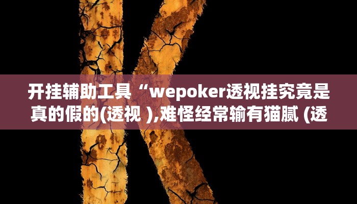 开挂辅助工具“wepoker透视挂究竟是真的假的(透视 ),难怪经常输有猫腻 (透视)