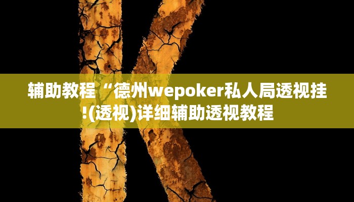 辅助教程“德州wepoker私人局透视挂!(透视)详细辅助透视教程