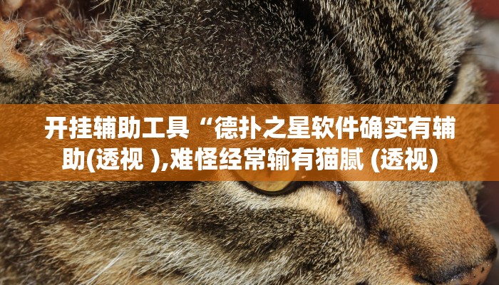 教程辅助“福建十三水透视脚本软件”其实确实有挂