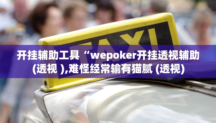 开挂辅助工具“wepoker开挂透视辅助(透视 ),难怪经常输有猫腻 (透视)