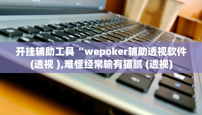开挂辅助工具“wepoker辅助透视软件(透视 ),难怪经常输有猫腻 (透视)