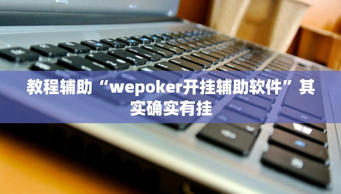 教程辅助“wepoker开挂辅助软件”其实确实有挂