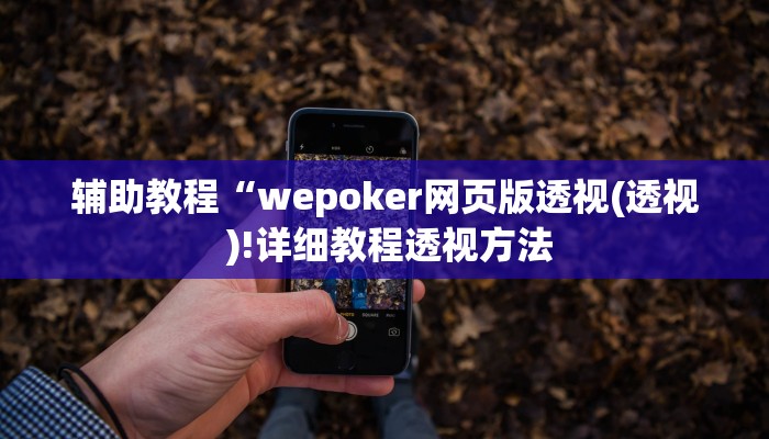 辅助教程“wepoker网页版透视(透视 )!详细教程透视方法