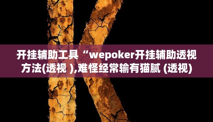 开挂辅助工具“wepoker开挂辅助透视方法(透视 ),难怪经常输有猫腻 (透视)