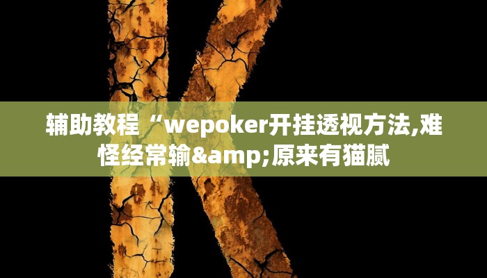 辅助教程“wepoker开挂透视方法,难怪经常输&原来有猫腻