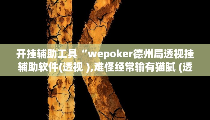 开挂辅助工具“wepoker德州局透视挂辅助软件(透视 ),难怪经常输有猫腻 (透视)