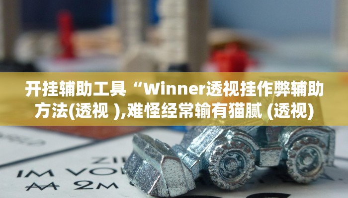 开挂辅助工具“Winner透视挂作弊辅助方法(透视 ),难怪经常输有猫腻 (透视)