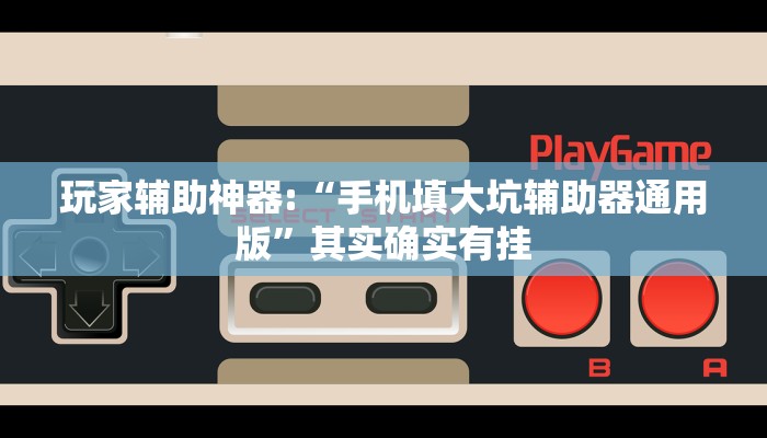 玩家辅助神器:“手机填大坑辅助器通用版”其实确实有挂