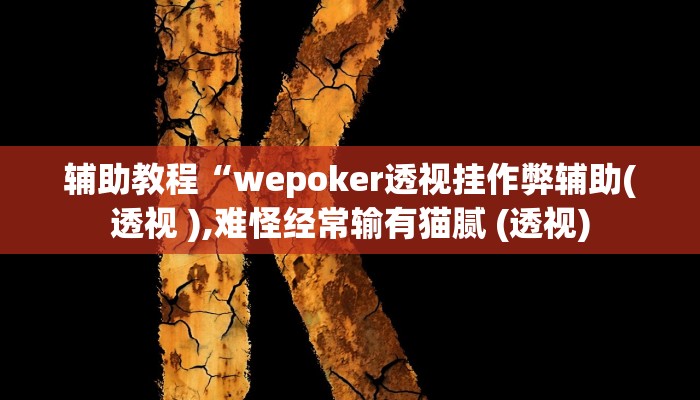 辅助教程“wepoker透视挂作弊辅助(透视 ),难怪经常输有猫腻 (透视)