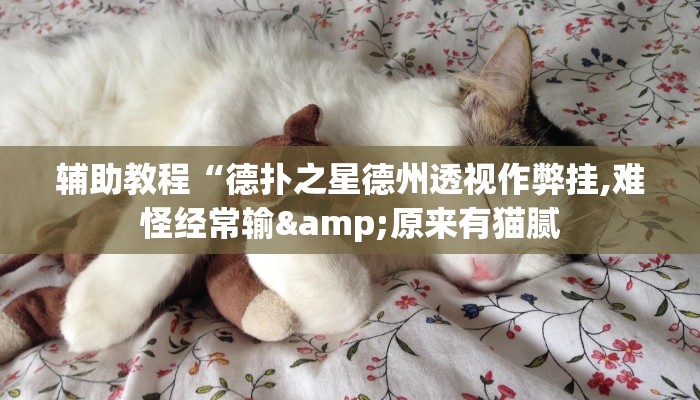 辅助教程“德扑之星德州透视作弊挂,难怪经常输&原来有猫腻