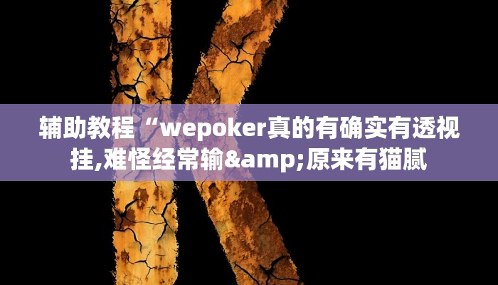 辅助教程“wepoker真的有确实有透视挂,难怪经常输&原来有猫腻