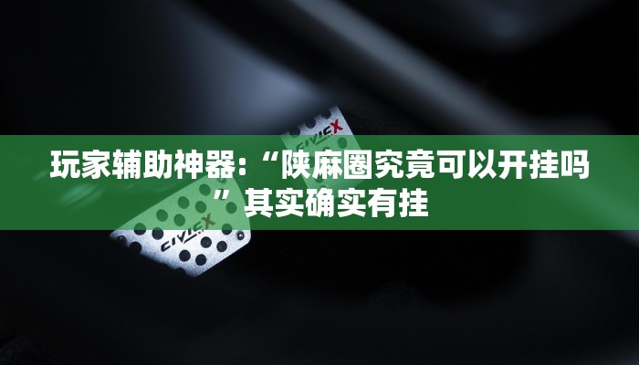 玩家辅助神器:“陕麻圈究竟可以开挂吗”其实确实有挂