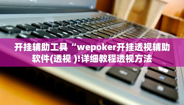 开挂辅助工具“wepoker开挂透视辅助软件(透视 )!详细教程透视方法