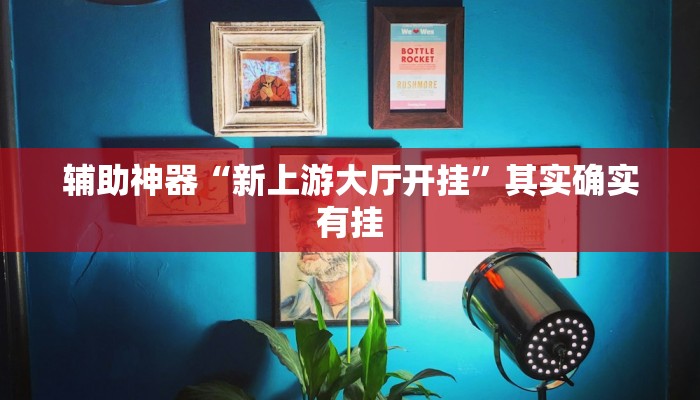 辅助神器“新上游大厅开挂”其实确实有挂