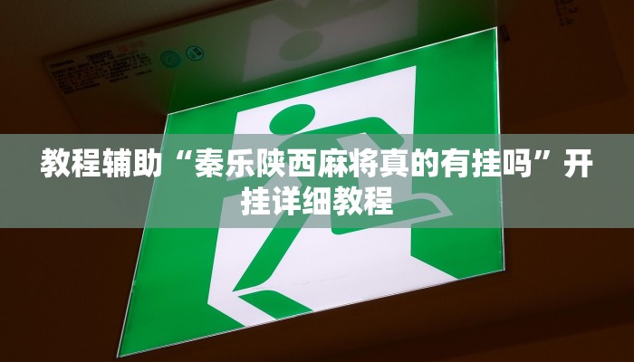 教程辅助“秦乐陕西麻将真的有挂吗”开挂详细教程