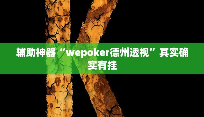 辅助神器“wepoker德州透视”其实确实有挂