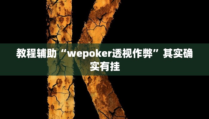教程辅助“wepoker透视作弊”其实确实有挂