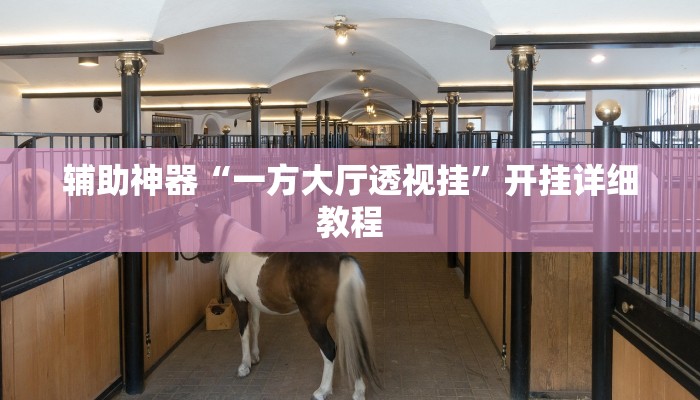 辅助神器“一方大厅透视挂”开挂详细教程