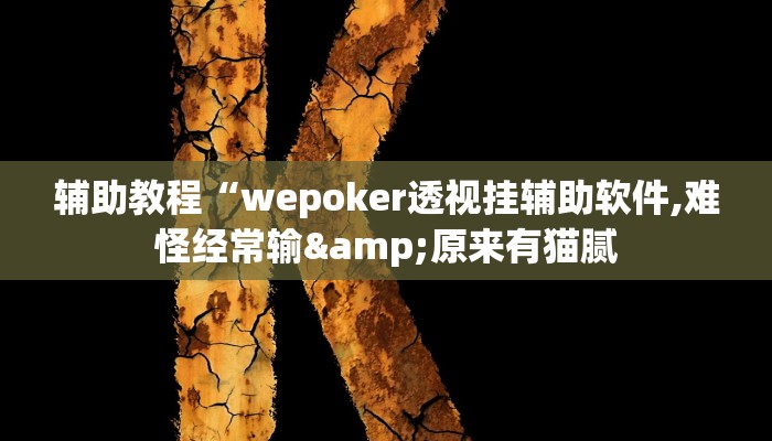 辅助教程“wepoker透视挂辅助软件,难怪经常输&原来有猫腻