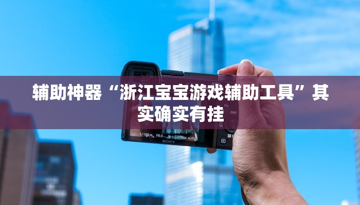 辅助神器“浙江宝宝游戏辅助工具”其实确实有挂