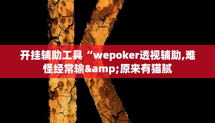开挂辅助工具“wepoker透视辅助,难怪经常输&原来有猫腻