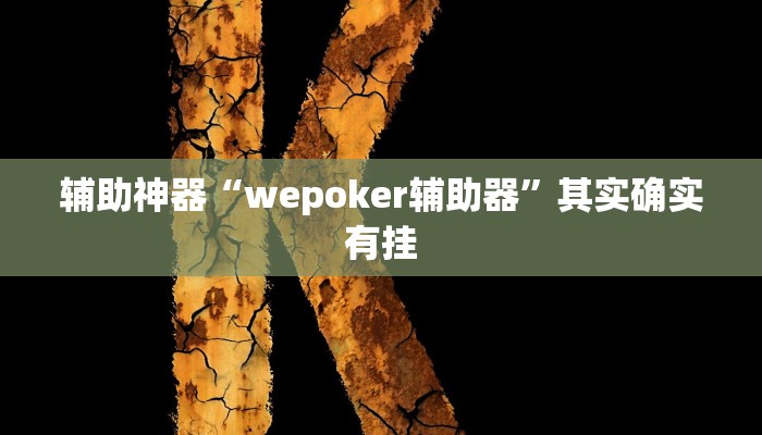 辅助神器“wepoker辅助器”其实确实有挂
