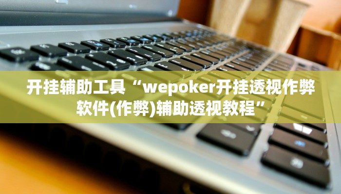 开挂辅助工具“wepoker开挂透视作弊软件(作弊)辅助透视教程”