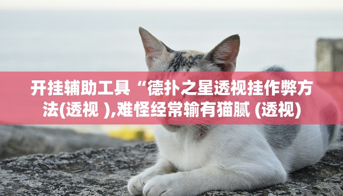 开挂辅助工具“德扑之星透视挂作弊方法(透视 ),难怪经常输有猫腻 (透视)