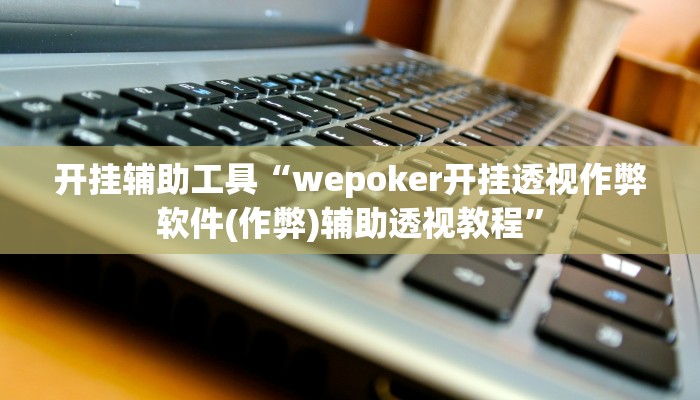 开挂辅助工具“wepoker开挂透视作弊软件(作弊)辅助透视教程”