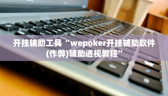 开挂辅助工具“wepoker开挂辅助软件(作弊)辅助透视教程”