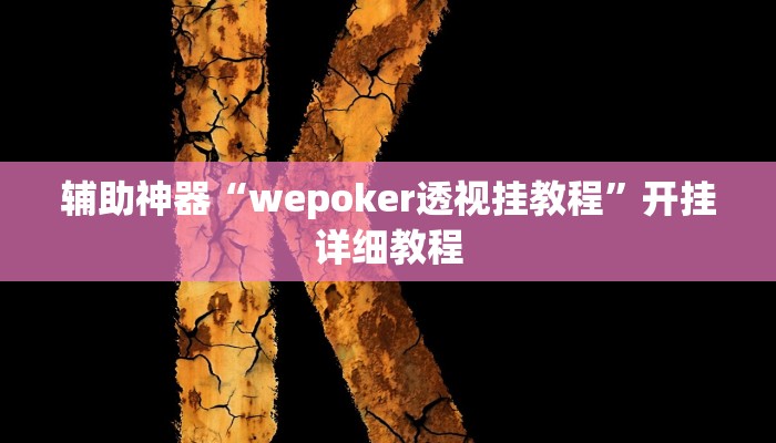 开挂辅助工具“德州局HHpoker透视脚本(透视 ),难怪经常输有猫腻 (透视)
