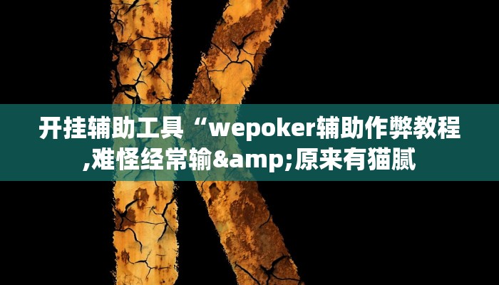 开挂辅助工具“wepoker辅助作弊教程,难怪经常输&原来有猫腻
