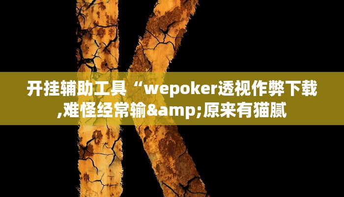 开挂辅助工具“wepoker透视作弊下载,难怪经常输&原来有猫腻