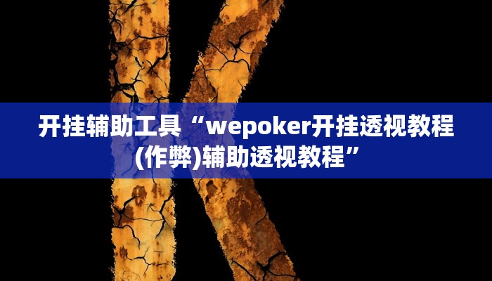 开挂辅助工具“wepoker开挂透视教程(作弊)辅助透视教程”
