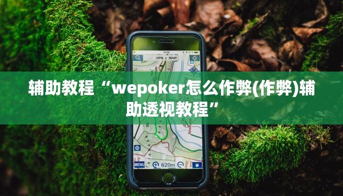 辅助教程“wepoker怎么作弊(作弊)辅助透视教程”