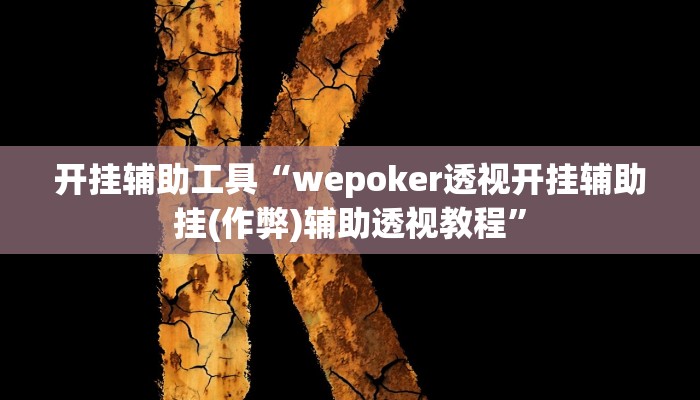 开挂辅助工具“wepoker透视开挂辅助挂(作弊)辅助透视教程”