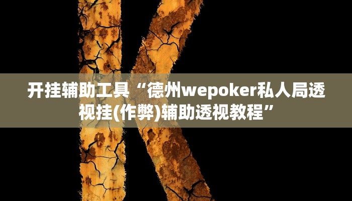 开挂辅助工具“德州wepoker私人局透视挂(作弊)辅助透视教程”