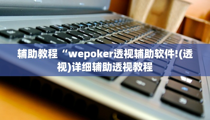 辅助教程“wepoker透视辅助软件!(透视)详细辅助透视教程