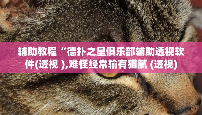 辅助教程“德扑之星俱乐部辅助透视软件(透视 ),难怪经常输有猫腻 (透视)