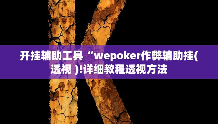 开挂辅助工具“wepoker作弊辅助挂(透视 )!详细教程透视方法