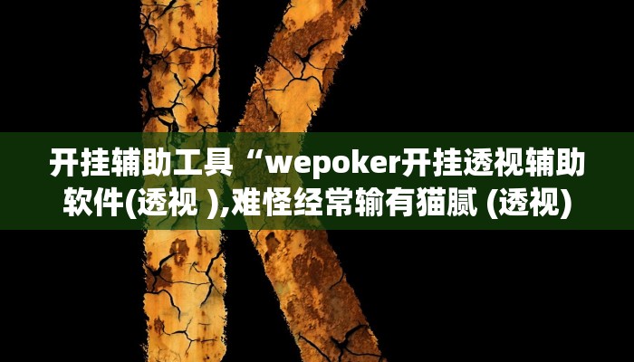 开挂辅助工具“wepoker开挂透视辅助软件(透视 ),难怪经常输有猫腻 (透视)
