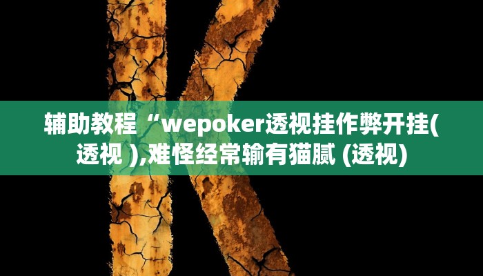 辅助教程“wepoker透视挂作弊开挂(透视 ),难怪经常输有猫腻 (透视)