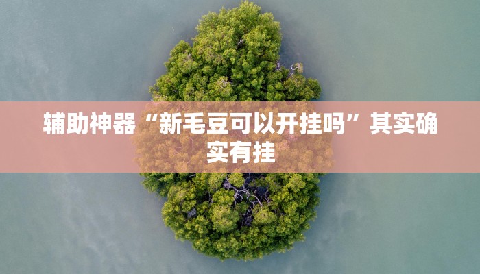 辅助神器“新毛豆可以开挂吗”其实确实有挂