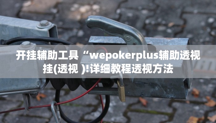 开挂辅助工具“wepokerplus辅助透视挂(透视 )!详细教程透视方法