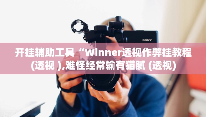 开挂辅助工具“Winner透视作弊挂教程(透视 ),难怪经常输有猫腻 (透视)