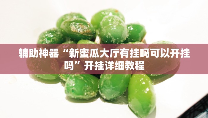 辅助神器“新蜜瓜大厅有挂吗可以开挂吗”开挂详细教程