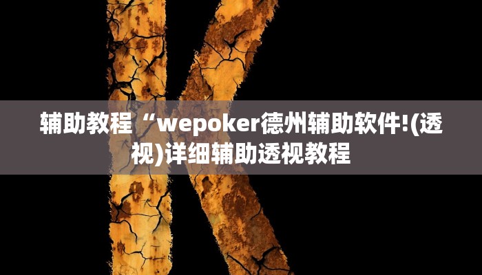 辅助教程“wepoker德州辅助软件!(透视)详细辅助透视教程