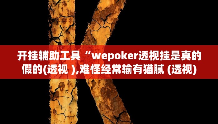 开挂辅助工具“wepoker透视挂是真的假的(透视 ),难怪经常输有猫腻 (透视)